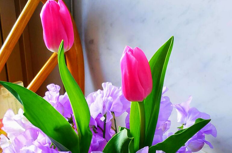 DSC_0247-EFFECTS~2